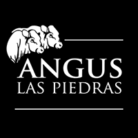 Flank Steak day grain fed Black Angus las piedras Uruguay 1kg